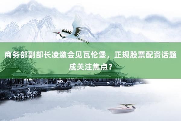 商务部副部长凌激会见瓦伦堡，正规股票配资话题成关注焦点？