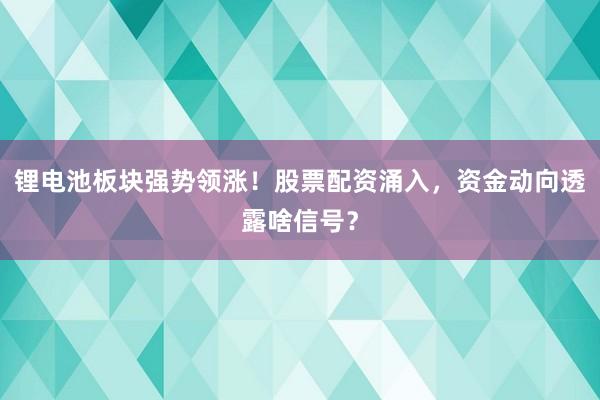 锂电池板块强势领涨！股票配资涌入，资金动向透露啥信号？