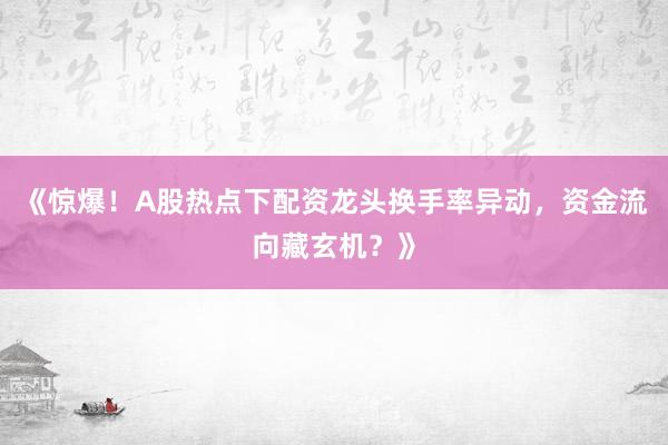 《惊爆！A股热点下配资龙头换手率异动，资金流向藏玄机？》