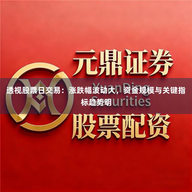 透视股票日交易：涨跌幅波动大，资金规模与关键指标趋势明