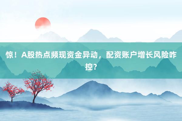 惊！A股热点频现资金异动，配资账户增长风险咋控？