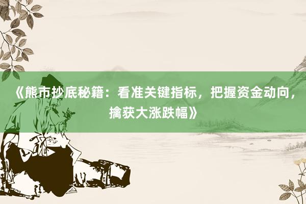 《熊市抄底秘籍：看准关键指标，把握资金动向，擒获大涨跌幅》