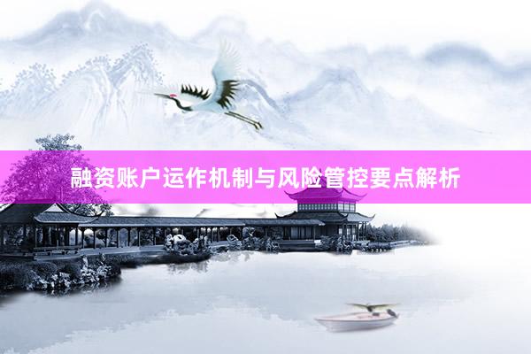 融资账户运作机制与风险管控要点解析