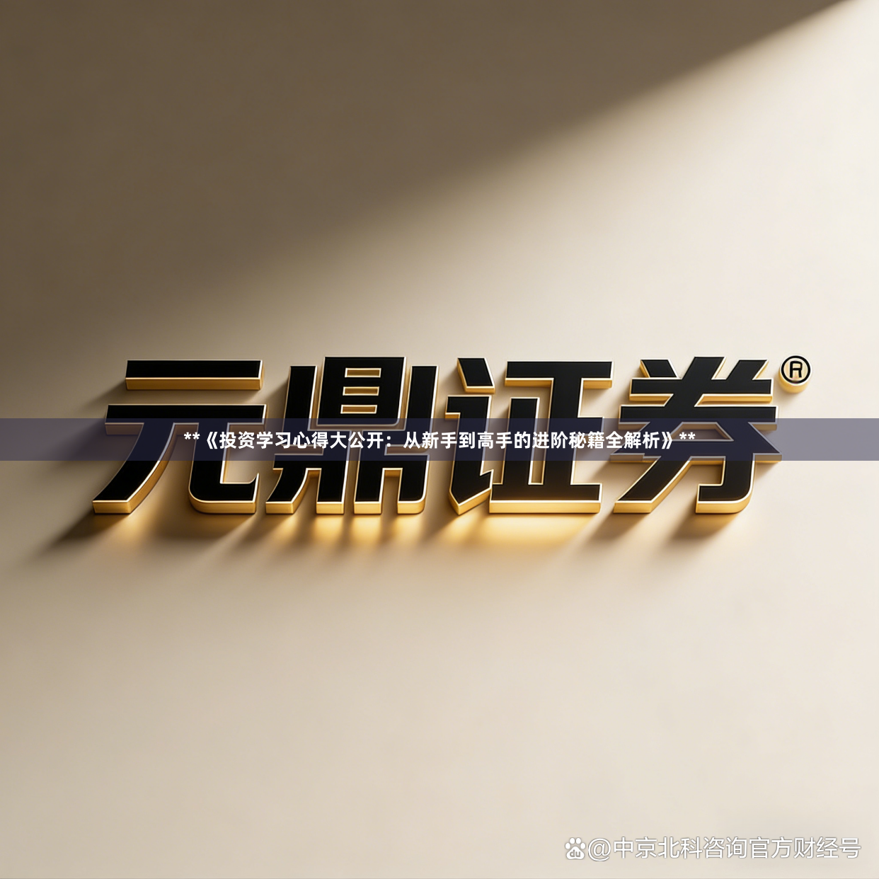 **《投资学习心得大公开：从新手到高手的进阶秘籍全解析》**