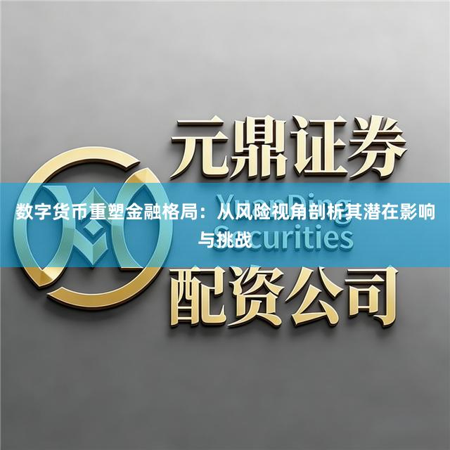数字货币重塑金融格局：从风险视角剖析其潜在影响与挑战