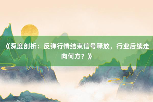《深度剖析：反弹行情结束信号释放，行业后续走向何方？》