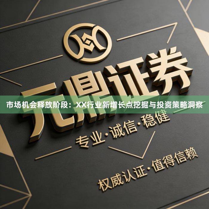 市场机会释放阶段：XX行业新增长点挖掘与投资策略洞察