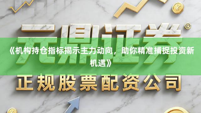 《机构持仓指标揭示主力动向，助你精准捕捉投资新机遇》