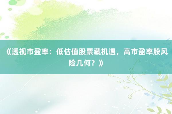 《透视市盈率：低估值股票藏机遇，高市盈率股风险几何？》