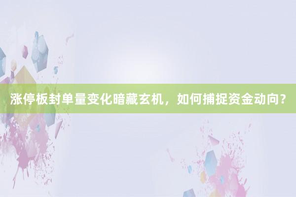 涨停板封单量变化暗藏玄机，如何捕捉资金动向？