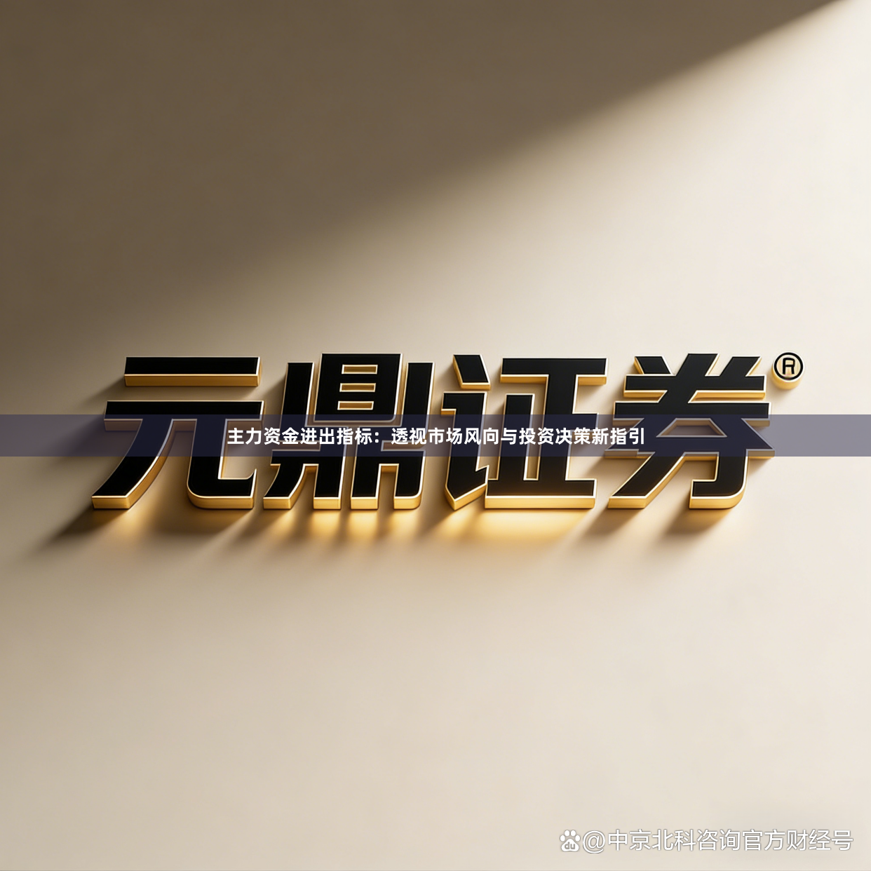 主力资金进出指标：透视市场风向与投资决策新指引