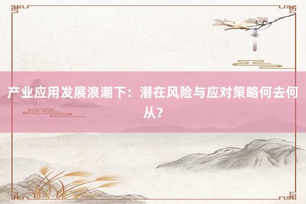 产业应用发展浪潮下：潜在风险与应对策略何去何从？