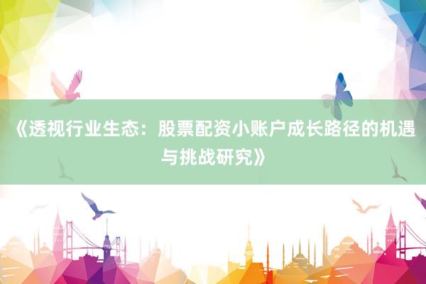 《透视行业生态：股票配资小账户成长路径的机遇与挑战研究》