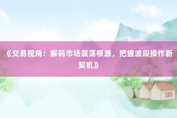《交易视角：解码市场震荡根源，把握波段操作新契机》