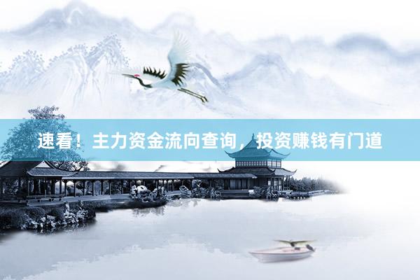 速看！主力资金流向查询，投资赚钱有门道