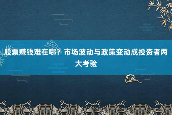 股票赚钱难在哪？市场波动与政策变动成投资者两大考验