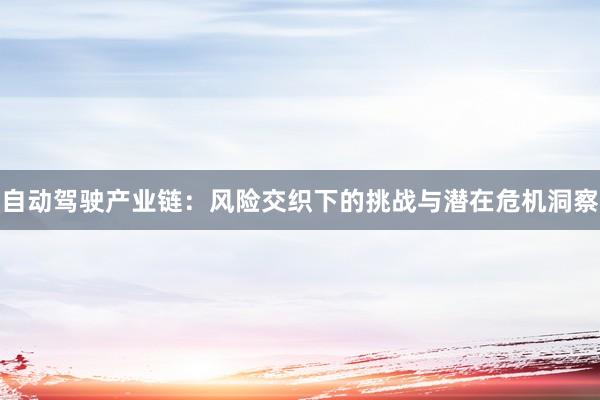 自动驾驶产业链：风险交织下的挑战与潜在危机洞察